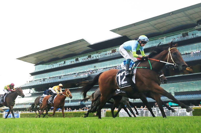 Australian Derby Betting Odds