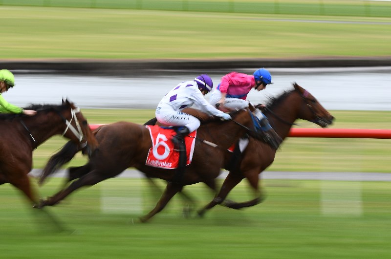 Sandown Racing Tips