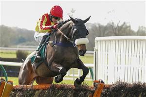 WARWICK, ENGLAND - MARCH 30: Tom Bellamy riding Pour Une Raison clear the last to win The Every Race Live On Racing TV Novices' Handicap Hurdle at Warwick Racecourse on March 30, 2021 in Warwick, England. Sporting venues around the UK remain under restrictions due to the Coronavirus Pandemic. Only owners are allowed to attend the meeting but the public must wait until further restrictions are lifted. (Photo by Alan Crowhurst/Getty Images)