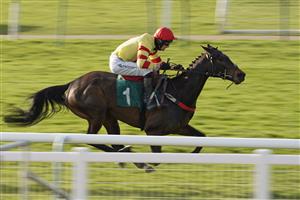 WARWICK, ENGLAND - MARCH 30: Brendan Powell riding Black Poppy win The racingtv.com Maiden Open NH Flat Race (GBB Race) (Div 1) at Warwick Racecourse on March 30, 2021 in Warwick, England. Sporting venues around the UK remain under restrictions due to the Coronavirus Pandemic. Only owners are allowed to attend the meeting but the public must wait until further restrictions are lifted. (Photo by Alan Crowhurst/Getty Images)