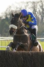 WARWICK, ENGLAND - MARCH 30: William Biddick riding Caid du Berlais clear the last to win The Air Wedding Open Hunters' Chase at Warwick Racecourse on March 30, 2021 in Warwick, England. Sporting venues around the UK remain under restrictions due to the Coronavirus Pandemic. Only owners are allowed to attend the meeting but the public must wait until further restrictions are lifted. (Photo by Alan Crowhurst/Getty Images)