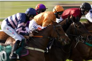 WARWICK, ENGLAND - MARCH 30: A general view of tight action racing during The Happy 21st Birthday Tia Harrison Handicap Hurdle at Warwick Racecourse on March 30, 2021 in Warwick, England. Sporting venues around the UK remain under restrictions due to the Coronavirus Pandemic. Only owners are allowed to attend the meeting but the public must wait until further restrictions are lifted. (Photo by Alan Crowhurst/Getty Images)