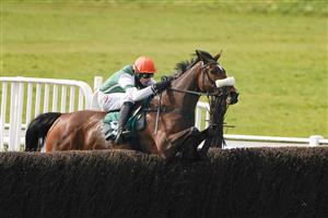 WARWICK, ENGLAND - MARCH 30: Harry Skelton riding Stylish Dancer clear the last to win The Watch On Racing TV Mares' Novices' Handicap Chase at Warwick Racecourse on March 30, 2021 in Warwick, England. Sporting venues around the UK remain under restrictions due to the Coronavirus Pandemic. Only owners are allowed to attend the meeting but the public must wait until further restrictions are lifted. (Photo by Alan Crowhurst/Getty Images)