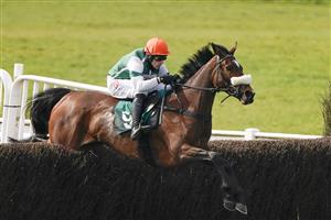 WARWICK, ENGLAND - MARCH 30: Harry Skelton riding Stylish Dancer clear the last to win The Watch On Racing TV Mares' Novices' Handicap Chase at Warwick Racecourse on March 30, 2021 in Warwick, England. Sporting venues around the UK remain under restrictions due to the Coronavirus Pandemic. Only owners are allowed to attend the meeting but the public must wait until further restrictions are lifted. (Photo by Alan Crowhurst/Getty Images)