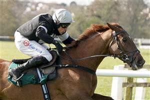 WARWICK, ENGLAND - MARCH 30: Harry Skelton riding King d'Argent clear the last to win The Bet At racingtv.com Handicap Chase at Warwick Racecourse on March 30, 2021 in Warwick, England. Sporting venues around the UK remain under restrictions due to the Coronavirus Pandemic. Only owners are allowed to attend the meeting but the public must wait until further restrictions are lifted. (Photo by Alan Crowhurst/Getty Images)