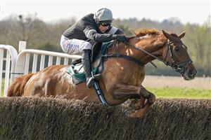 WARWICK, ENGLAND - MARCH 30: Harry Skelton riding King d'Argent clear the last to win The Bet At racingtv.com Handicap Chase at Warwick Racecourse on March 30, 2021 in Warwick, England. Sporting venues around the UK remain under restrictions due to the Coronavirus Pandemic. Only owners are allowed to attend the meeting but the public must wait until further restrictions are lifted. (Photo by Alan Crowhurst/Getty Images)