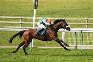 WARWICK, ENGLAND - MARCH 30: Harry Skelton riding Stylish Dancer clear the last to win The Watch On Racing TV Mares' Novices' Handicap Chase at Warwick Racecourse on March 30, 2021 in Warwick, England. Sporting venues around the UK remain under restrictions due to the Coronavirus Pandemic. Only owners are allowed to attend the meeting but the public must wait until further restrictions are lifted. (Photo by Alan Crowhurst/Getty Images)