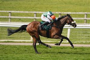WARWICK, ENGLAND - MARCH 30: Harry Skelton riding Stylish Dancer clear the last to win The Watch On Racing TV Mares' Novices' Handicap Chase at Warwick Racecourse on March 30, 2021 in Warwick, England. Sporting venues around the UK remain under restrictions due to the Coronavirus Pandemic. Only owners are allowed to attend the meeting but the public must wait until further restrictions are lifted. (Photo by Alan Crowhurst/Getty Images)