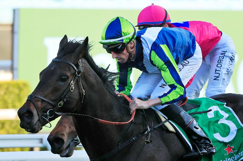 Tancred Stakes Tips