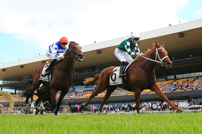 Vinery Stud Stakes Final Field
