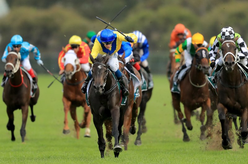 Vinery Stud Stakes Tips