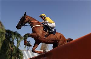 SOUTHWELL, ENGLAND - MARCH 31: Commit Or Quit ridden by Bryan Carver during the Free Tips Daily On attheraces.com Handicap Chase at Southwell Racecourse on March 31, 2021 in Southwell, England. (Photo by Mike Egerton-Pool/Getty Images)