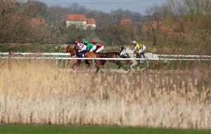 SOUTHWELL, ENGLAND - MARCH 31: Action from the biowavego.co.uk And Wave Goodbye To Pain Handicap Chase at Southwell Racecourse on March 31, 2021 in Southwell, England. (Photo by Mike Egerton-Pool/Getty Images)