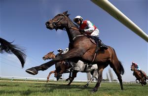 SOUTHWELL, ENGLAND - MARCH 31: Action from the Sky Sports Racing Sky 415 Standard Open NH Flat Race at Southwell Racecourse on March 31, 2021 in Southwell, England. (Photo by Mike Egerton-Pool/Getty Images)