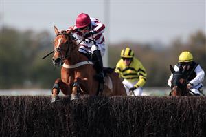 SOUTHWELL, ENGLAND - MARCH 31: Costly Diamond ridden by Harry Skelton on their way to winning the biowavego.co.uk And Wave Goodbye To Pain Handicap Chase at Southwell Racecourse on March 31, 2021 in Southwell, England. (Photo by Mike Egerton-Pool/Getty Images)