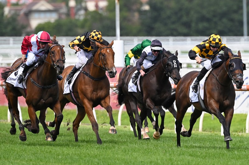 Caulfield Betting Tips