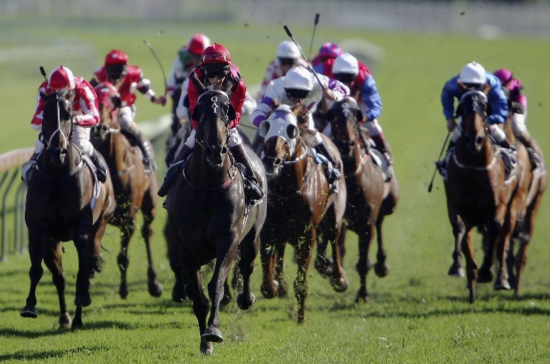 Mudgee Racing Tips for 07.01.2020