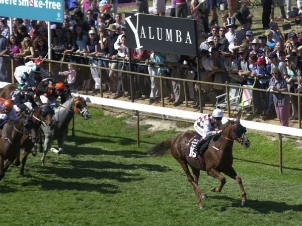 Oakbank Tips for 23.12.2020