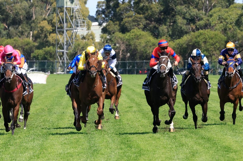 Rosehill Tips for 03.04.2021