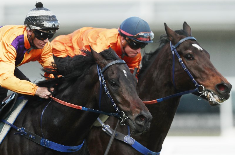 Weekend Racing Multi