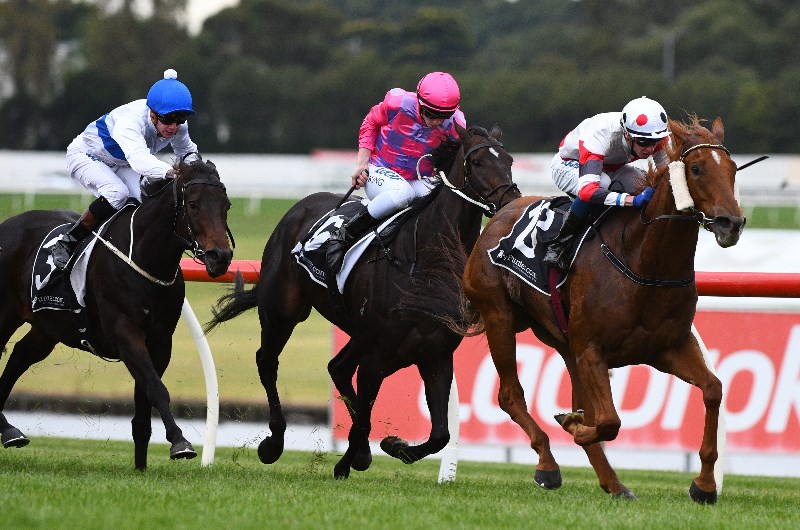 Sandown Betting Tips