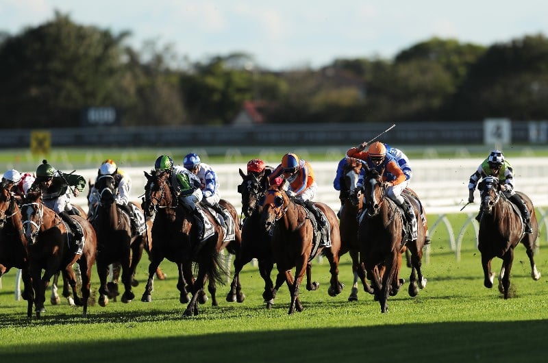 Doncaster Handicap Final Field