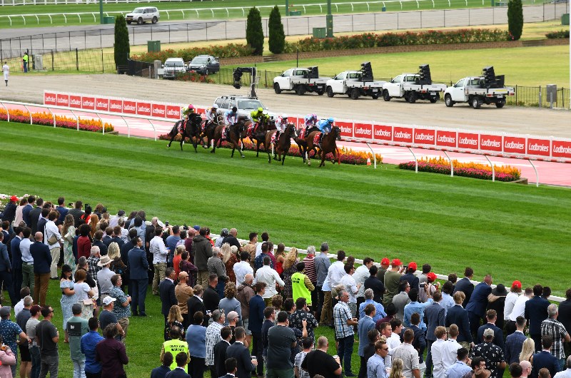 Sale Betting Tips
