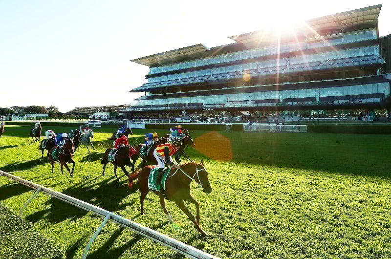 TJ Smith Stakes Final Field