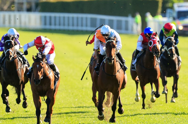Australian Derby Tips