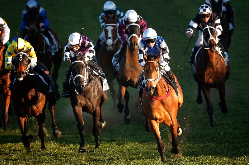 Doncaster Mile Tips
