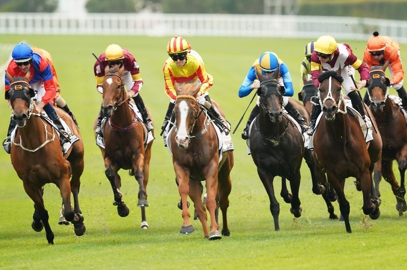 Goulburn Tips