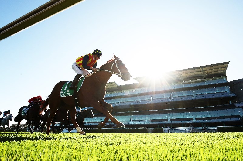 TJ Smith Stakes Tips