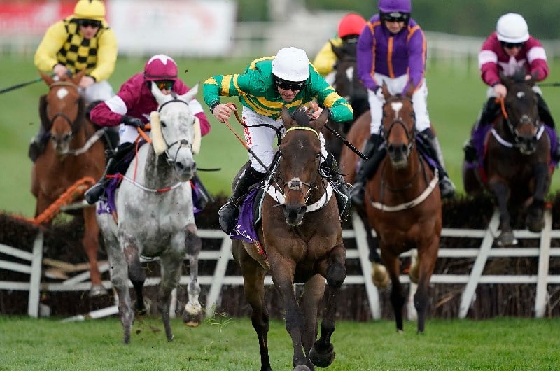 buveur d'air punchestown