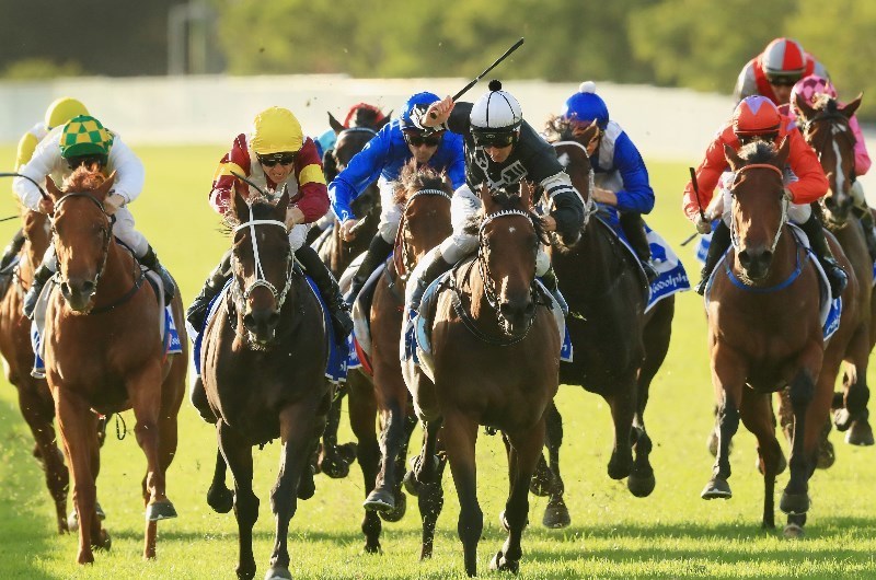 wyong tips for 14.05.2020