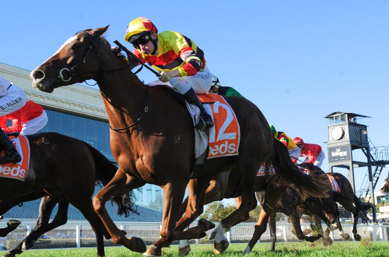 Caulfield Betting Tips