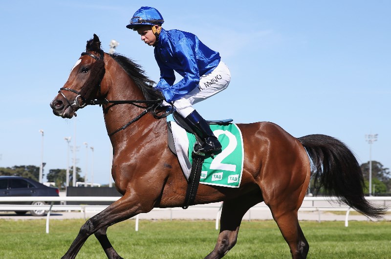Cranbourne Betting Tips