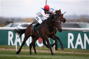 LIVERPOOL, ENGLAND - APRIL 08: Protektorat ridden by Harry Skelton coming home to win the SSS Super Alloys Manifesto Novices' Chase during the Liverpool NHS Day of the 2021 Randox Health Grand National Festival at Aintree Racecourse on April 8, 2021 in Liverpool, England. (Photo by Tim Goode - Pool/Getty Images)