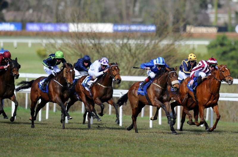 leopardstown guineas