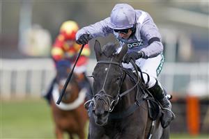 LIVERPOOL, ENGLAND - APRIL 10: Harry Skelton riding My Drogo clear the last to win The Betway Mersey Novices' Hurdle at Aintree Racecourse on April 10, 2021 in Liverpool, England. Sporting venues around the UK remain under restrictions due to the Coronavirus Pandemic. Only owners are allowed to attend the meeting but the public must wait until further restrictions are lifted. (Photo by Alan Crowhurst/Getty Images)
