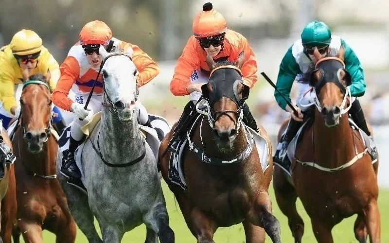 Tamworth Racing Tips for 23.01.2020