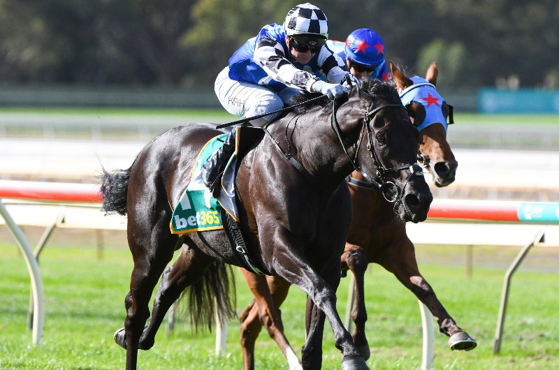 Bendigo Betting Tips