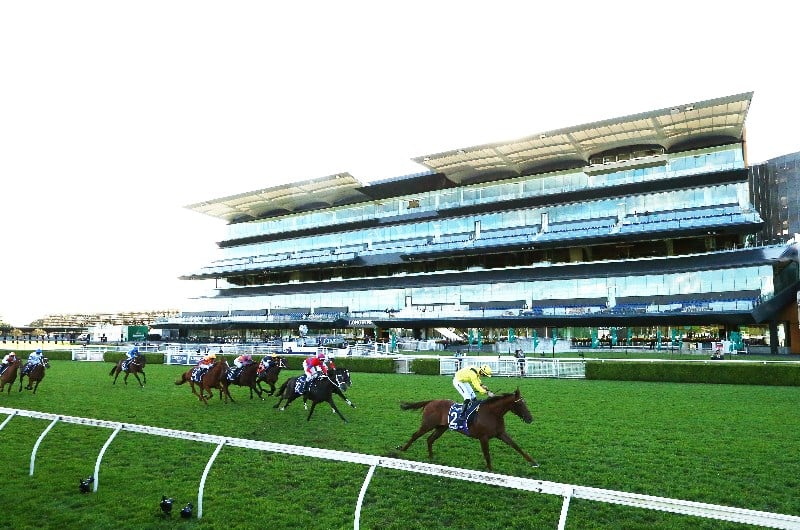 Queen Elizabeth Stakes Tips
