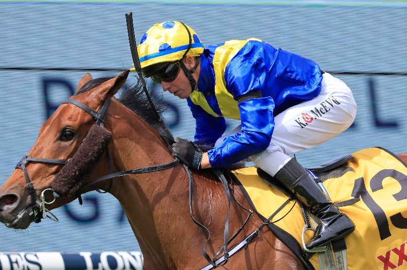 Sydney Cup Barrier Draw