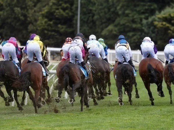 ascot racing tips for 25.05.2020