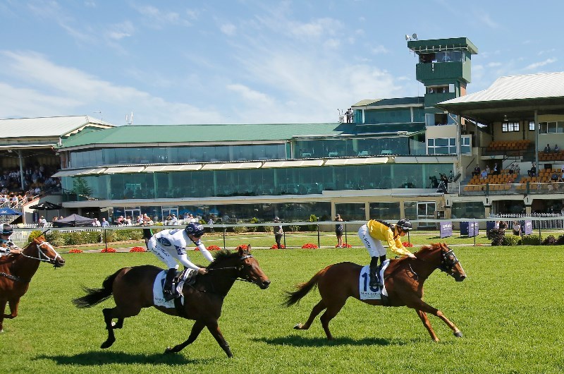 Big Bets Results for 14.11.2020