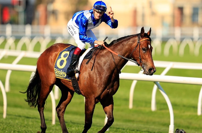 Libertini Full Sister - news