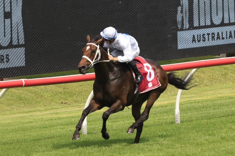 Tommy Berry Megabet