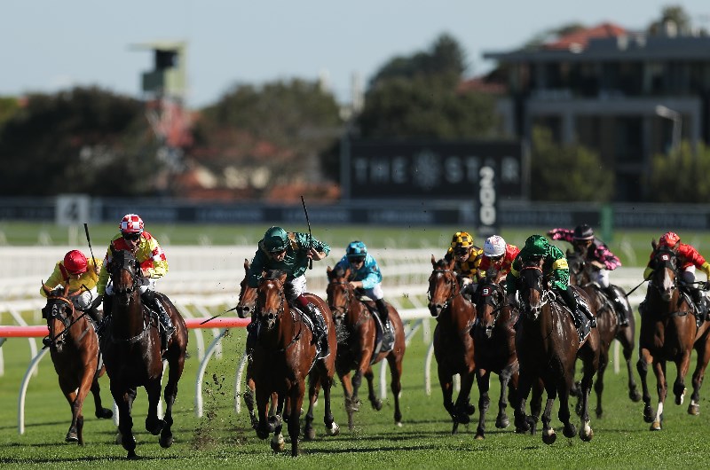Champagne Stakes Betting Odds
