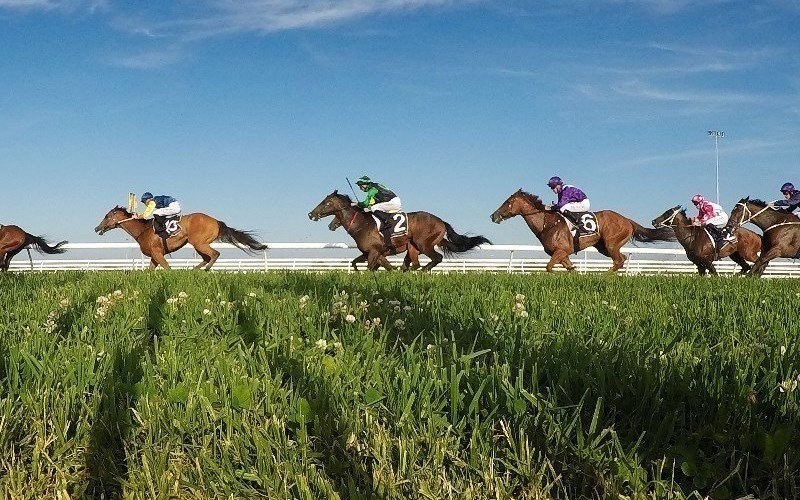 Scone racing tips for 14.01.2020