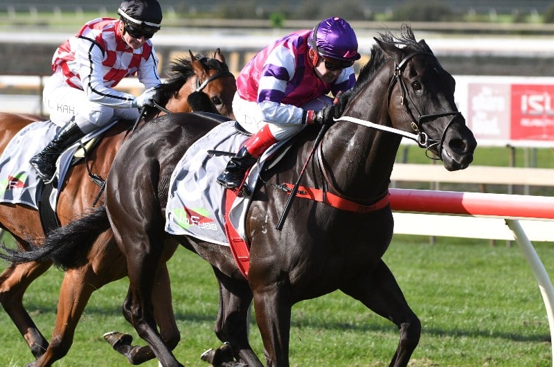 Bendigo Betting Tips